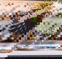 Sydney Airport Lounge - The House Terminal 1 - Darwin Holiday