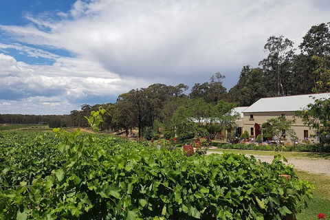 Tintilla Estate: Wine Tasting With A Meat And Cheese Platter - Darwin Holiday 5