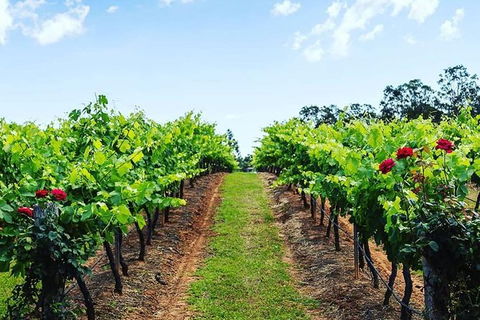 Tintilla Estate: Wine Tasting With A Meat And Cheese Platter - Darwin Holiday 0