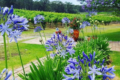 Tintilla Estate: Wine Tasting With A Meat And Cheese Platter - Darwin Holiday 4