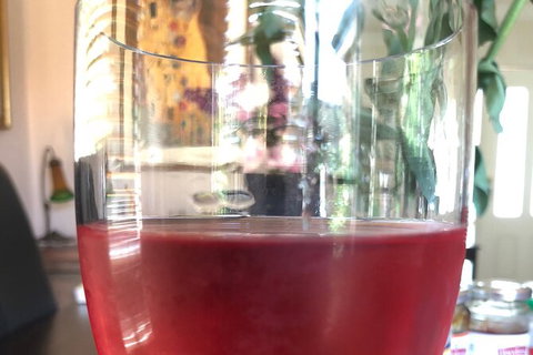 Hunter Valley Wineries - Darwin Holiday 1