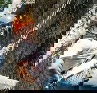 Abseiling at Glenworth Valley Outdoor Adventures - Darwin Holiday