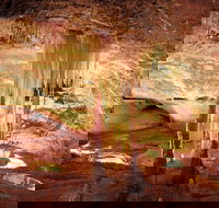 Jenolan Caves Ribbon Cave Tour - Darwin Holiday