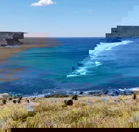 Two-Day Sydney Blue Mountains Sea to Summit Adventure - Darwin Holiday