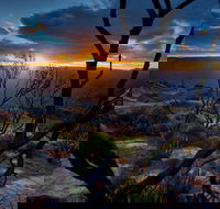 Ultimate Blue Mountains and Wildlife Tour - Darwin Holiday