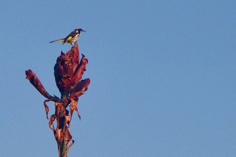 Hike Into The Royal National Park - Darwin Holiday 4