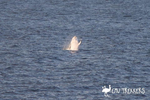 Hike Into The Royal National Park - Darwin Holiday 3