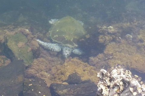 Sawtell To Coffs Harbour Bike Ride - Darwin Holiday 4