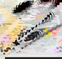 Tulloch Wines- Mystery Wine Tasting Experience with Local Cheese and Charcuterie - Darwin Holiday