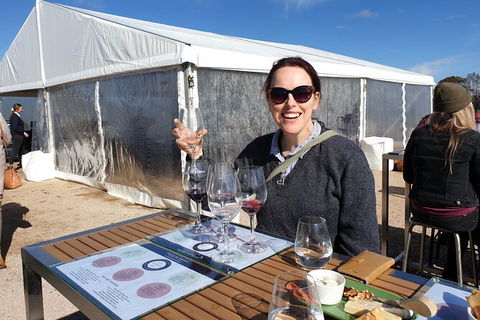 Motorcycle & Sidecar Wine Tasting Tour - Darwin Holiday 6