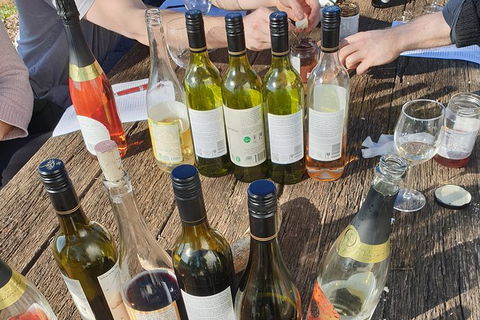 Motorcycle & Sidecar Wine Tasting Tour - Darwin Holiday 1