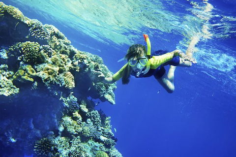 3-Day Tour From Sydney To The Gold Coast Including Port Stephens And Byron Bay - Darwin Holiday 1