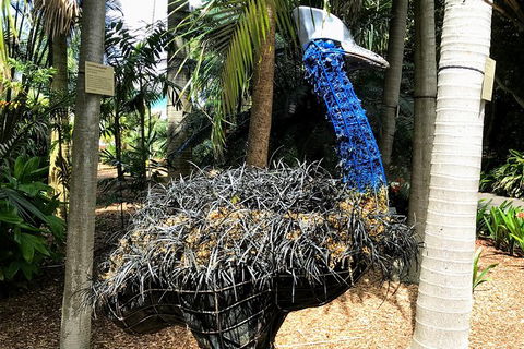 Discover Sydney - Botanic - Darwin Holiday 5