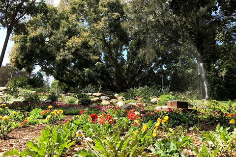 Discover Sydney - Botanic - Darwin Holiday 3