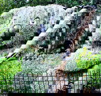 Discover Sydney - Botanic - Darwin Holiday