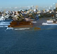 Private and tailored tiny group tour of Sydney with travel writer and historian - Darwin Holiday