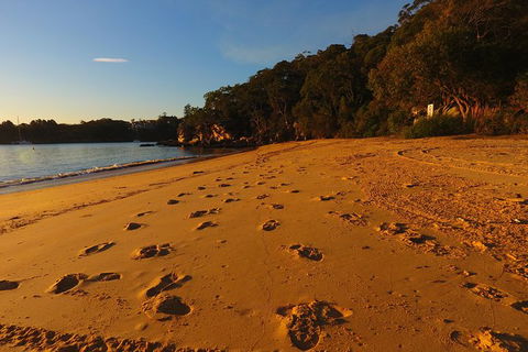3 Beaches Kayak Tour With Lunch In Manly - 4 Hours - Darwin Holiday 3