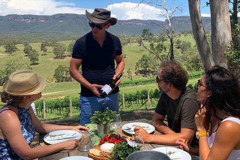 Private Blue Mountains And Wildlife Park Tour From Sydney With Barbecue Lunch - Darwin Holiday 21