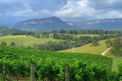 Private Blue Mountains And Wildlife Park Tour From Sydney With Barbecue Lunch - Darwin Holiday 2