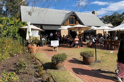 Hunter Valley Winery Tours - Darwin Holiday 4