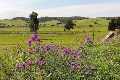 Kiama SouthCoast Uncovered, Beaches, Bush & Sunset PRIVATE Full Day Tour - Darwin Holiday 14