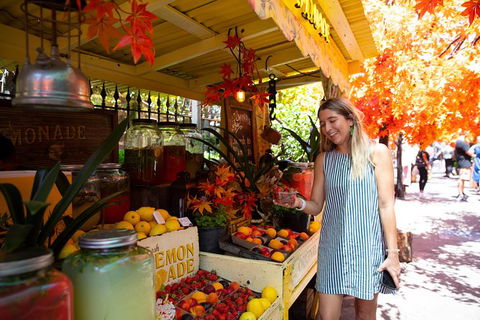 Sydney Instagram Tour - Darwin Holiday 3