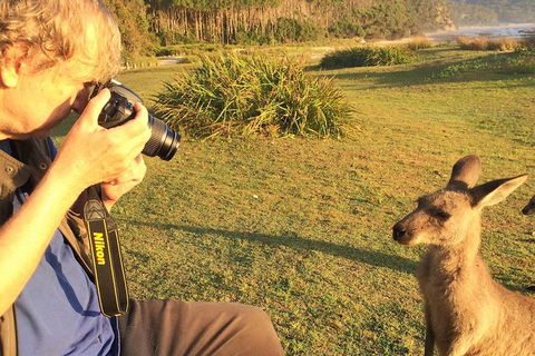 Highlights Of The Eurobodalla (half Day Private Tour) - Darwin Holiday 2