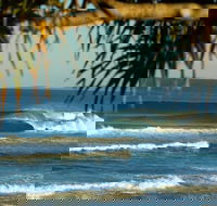 10-Day Surf Adventure from Sydney to Brisbane Including Coffs Harbour Byron Bay and Gold Coast - Darwin Holiday