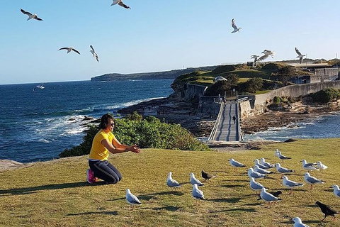 Best Sydney Private City Tour - Full Day (Rate Per Group) - Darwin Holiday 5