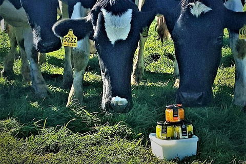 Artisan Cheese Tastings And Sales - Darwin Holiday 11