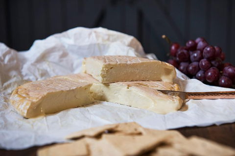 Artisan Cheese Tastings And Sales - Darwin Holiday 8