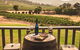 Ivanhoe Wines: Trip Advisor Wine Masterclass With Cheese Plate - thumb 5