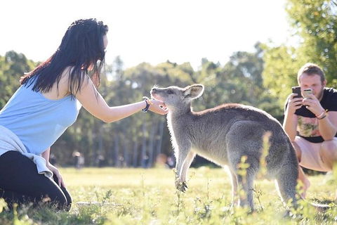 Oz Adventure - 9 Day - Darwin Holiday 3