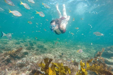 Oz Adventure - 9 Day - Darwin Holiday 7