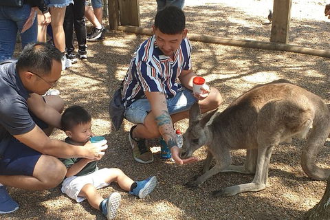 Blue Mountains & Iconic Animals - The Western Front - Darwin Holiday 7