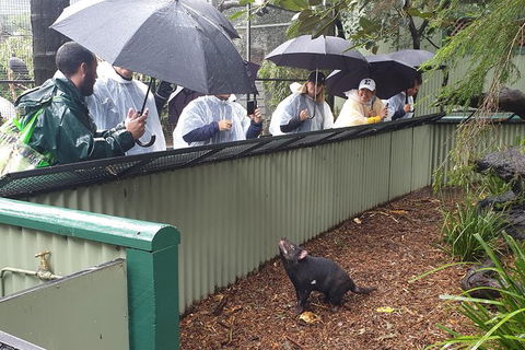 Blue Mountains & Iconic Animals - The Western Front - Darwin Holiday 3