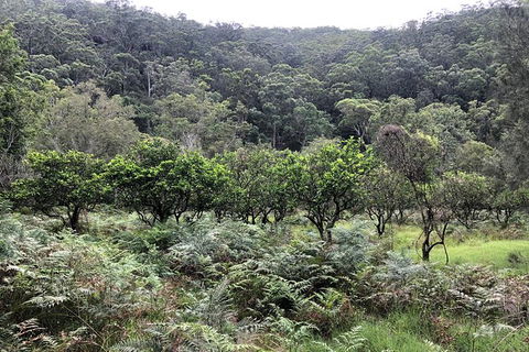 Kayak Camping Adventure To Marramarra Orchard - Darwin Holiday 1