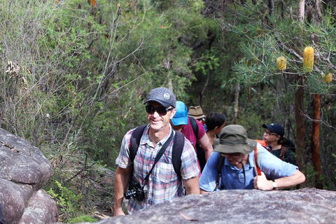 Sydney Harbour Walks - Darwin Holiday 1