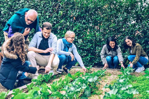 Taste Of The Highlands: Pinot Masterclass And Gourmet Lunch With Wine Pairings - Darwin Holiday 10