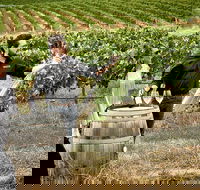 VIP Soil-To-Cellar Experience - Darwin Holiday