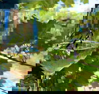 Lets ride - Urunga to Raleigh Winery - Darwin Holiday