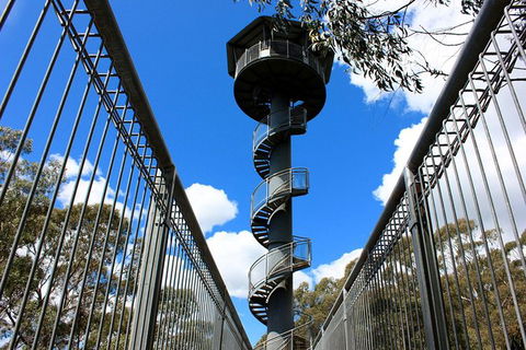 Illawarra Fly Treetop Adventures Admission Including Zipline Tour - Darwin Holiday 3