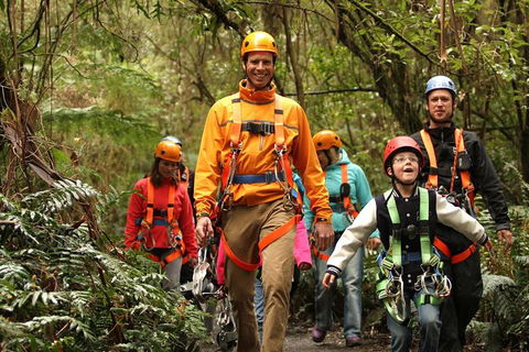 Illawarra Fly Treetop Adventures Admission Including Zipline Tour - Darwin Holiday 1