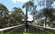 Illawarra Fly Treetop Adventures Admission Including Zipline Tour - thumb 2