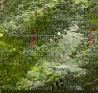 Illawarra Fly Treetop Adventures Admission Including Zipline Tour - Darwin Holiday