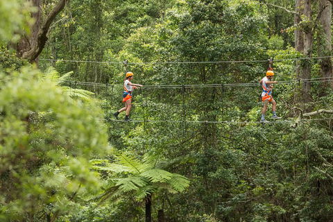 Illawarra Fly Treetop Adventures Admission Including Zipline Tour - Darwin Holiday 0