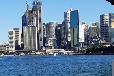 Private Sydney Tour Guide . Let Me Show You My Fabulous City - Darwin Holiday 4