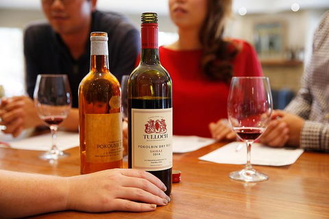 Tulloch Wines- Tasting Of 6 Pokolbin Dry Red Shiraz Vintages With Charcuterie - Darwin Holiday 3
