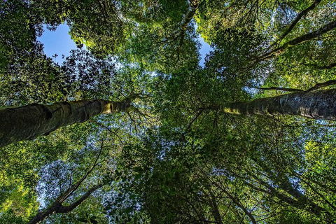 Private Blue Mountains Photography Expedition - Darwin Holiday 6