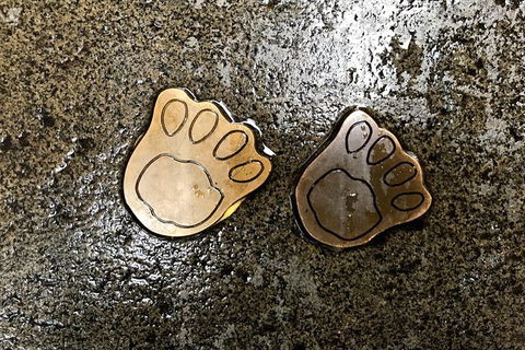 Discover Sydney - Darwin Holiday 4